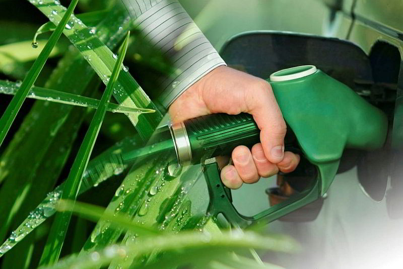 Biodiesel: Production, Use, and Types